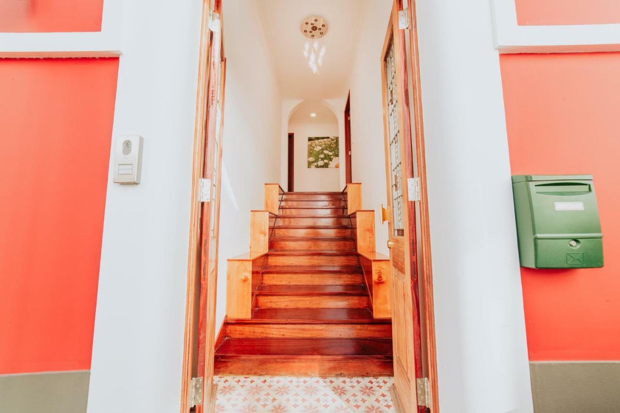 Casa Strelitzia Leilighet Funchal  Eksteriør bilde